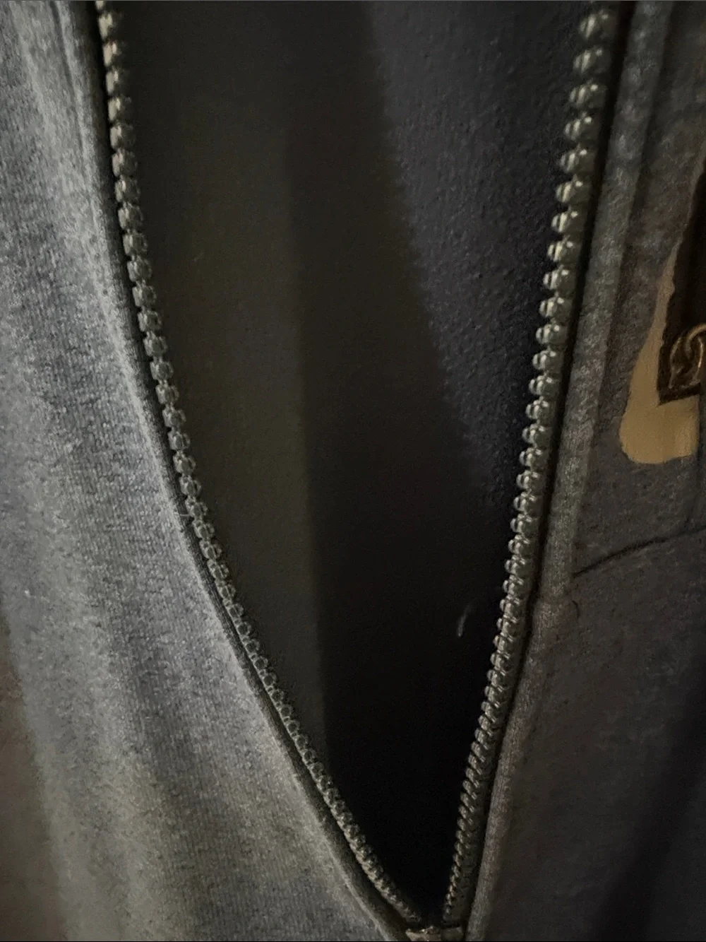 The North Face lightweight softshell